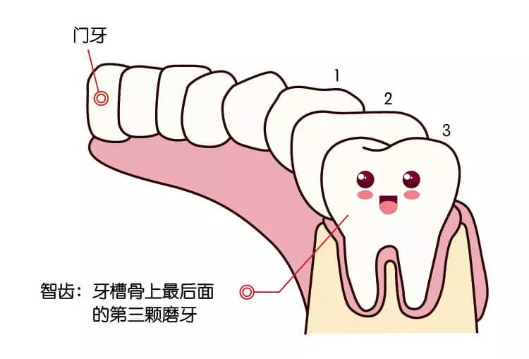 微信图片_20190612172040.jpg